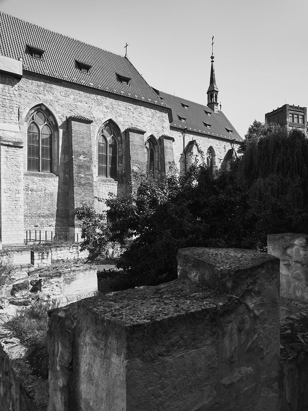 AnezskyKlaster-P8161555-bw