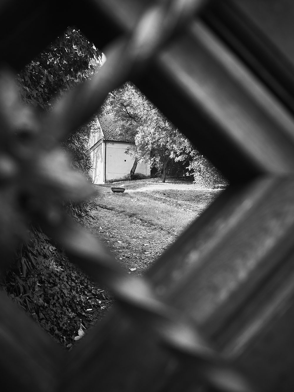 Bertramka-PA046231-bw
