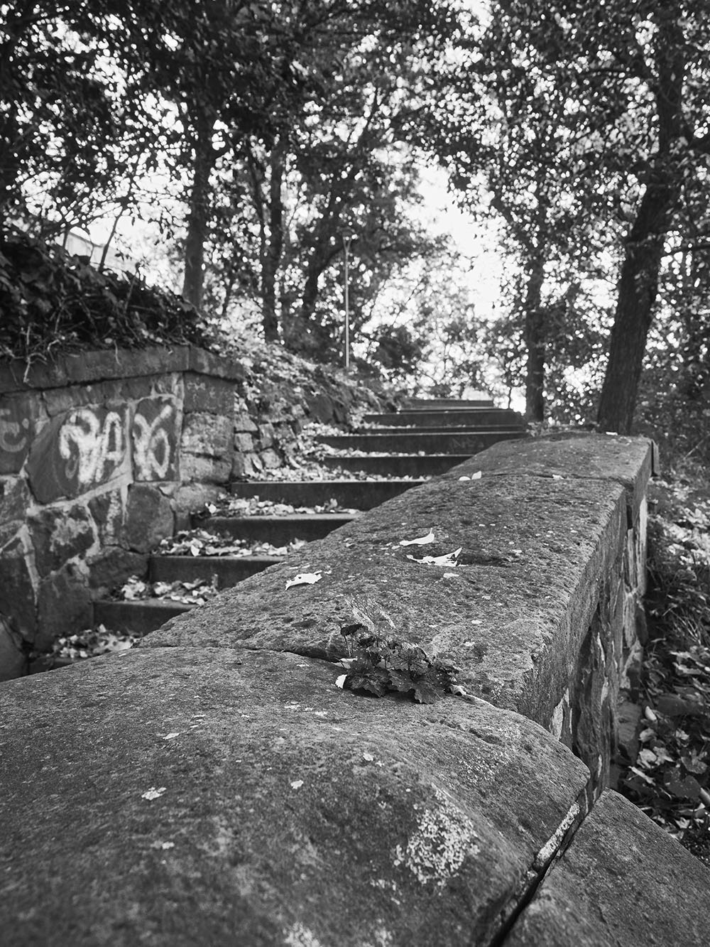 Bezrucovy-PB017978-bw