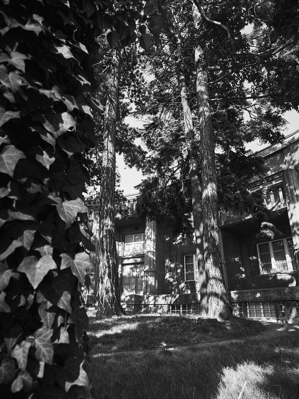 BilkovaVila-P8161493-bw