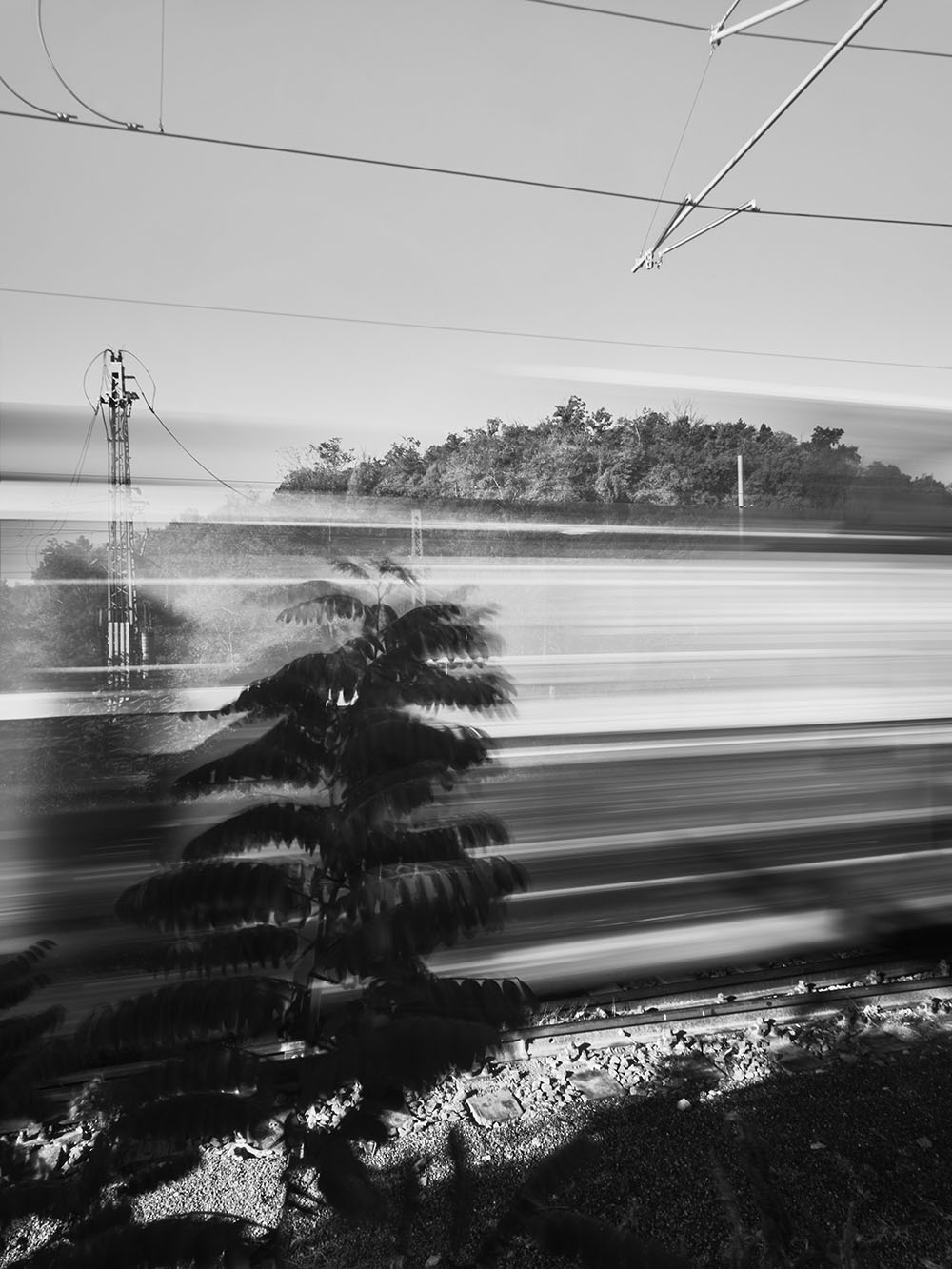 Bohdalec-PA167233-bw