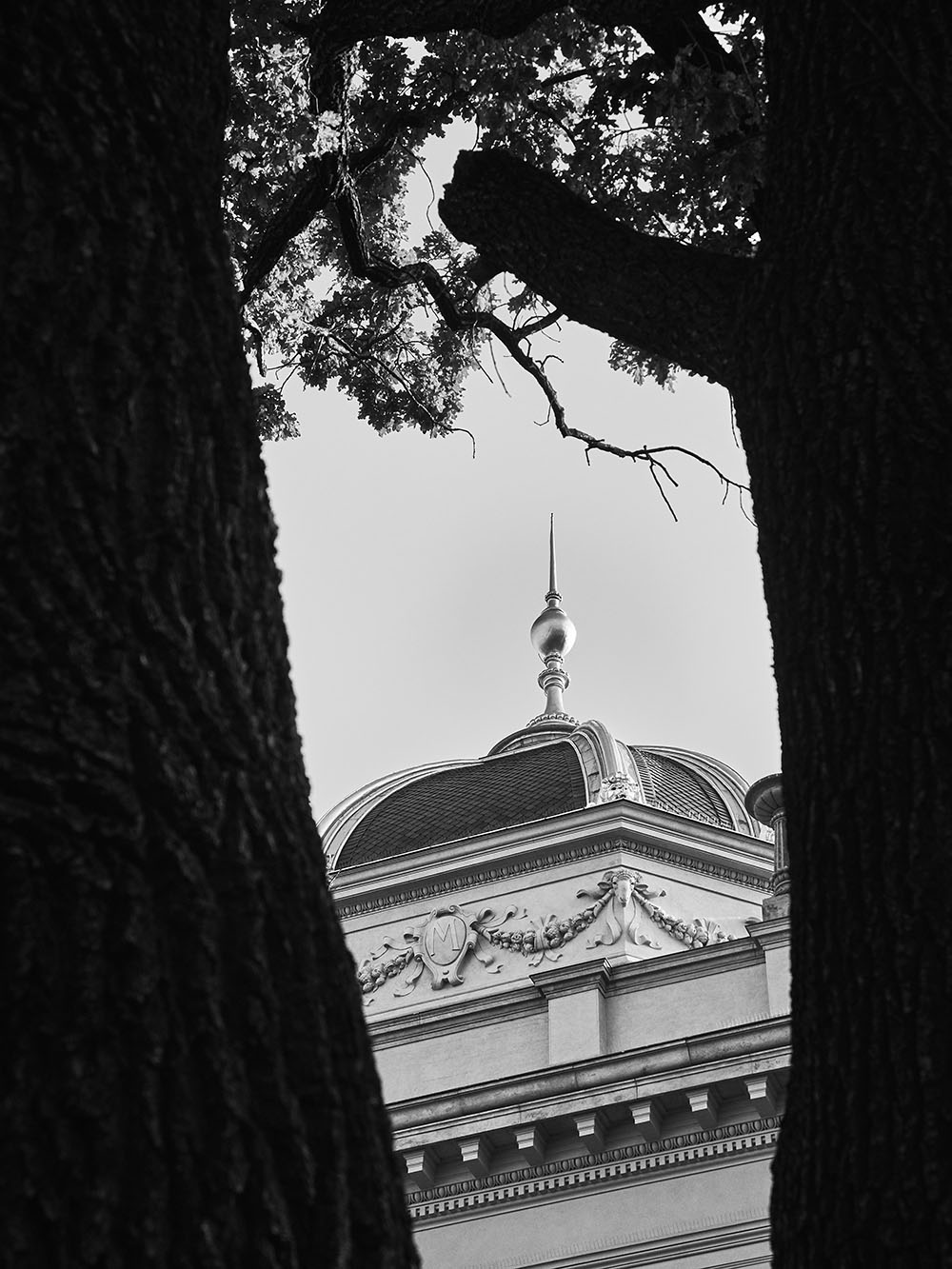 Celakovskeho-P8181926-bw