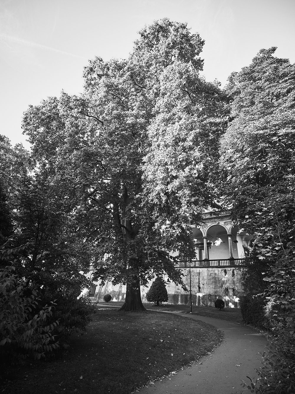 ChotkovySady-PA025638