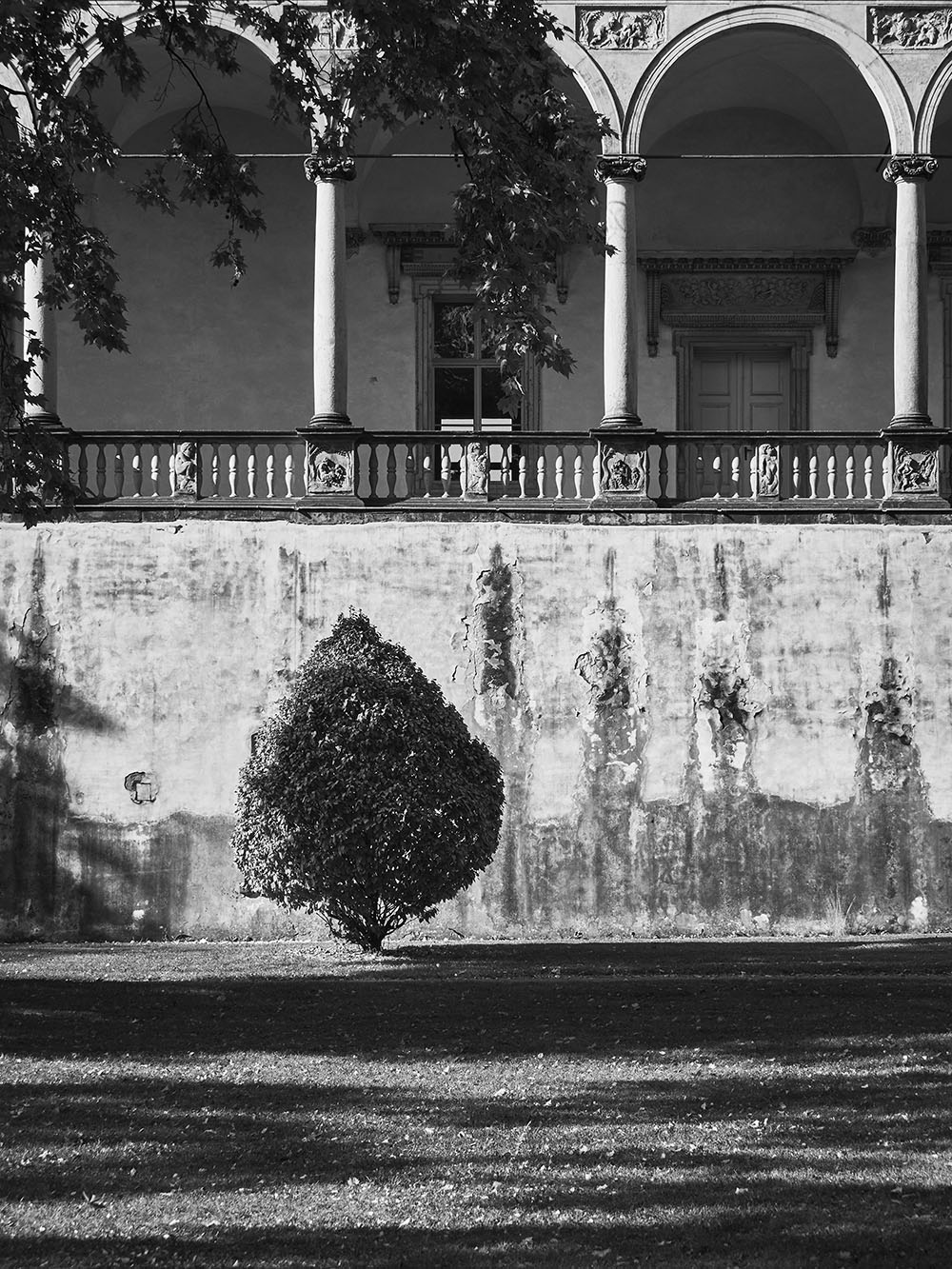 ChotkovySadyy-PA116578-bw