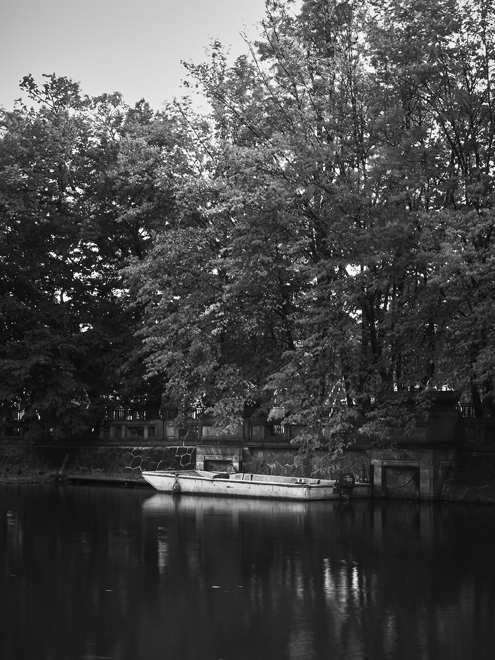 DetskyOstrov-PA046146-bw