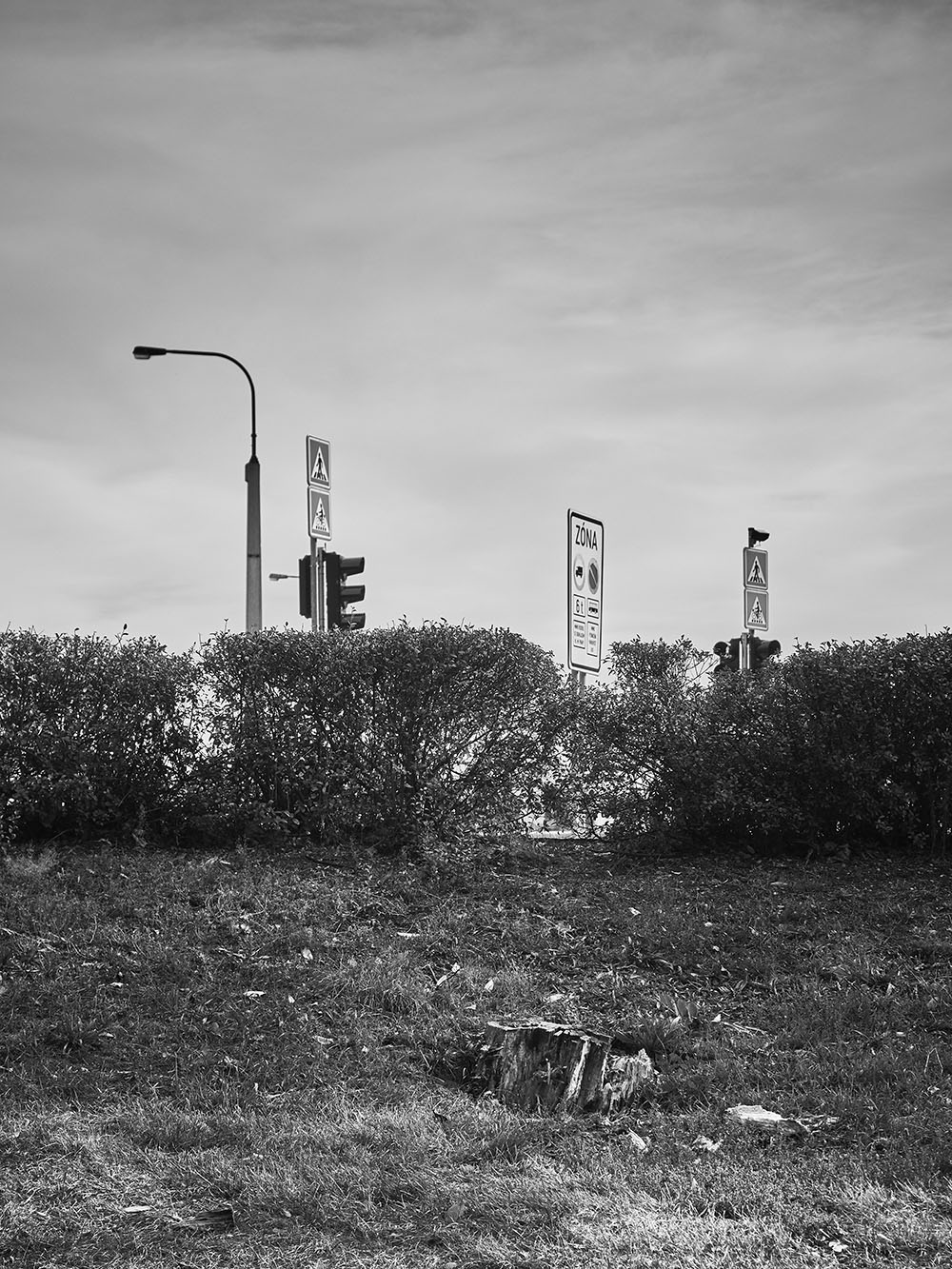 Dienzenhofferovy-PA046169-bw