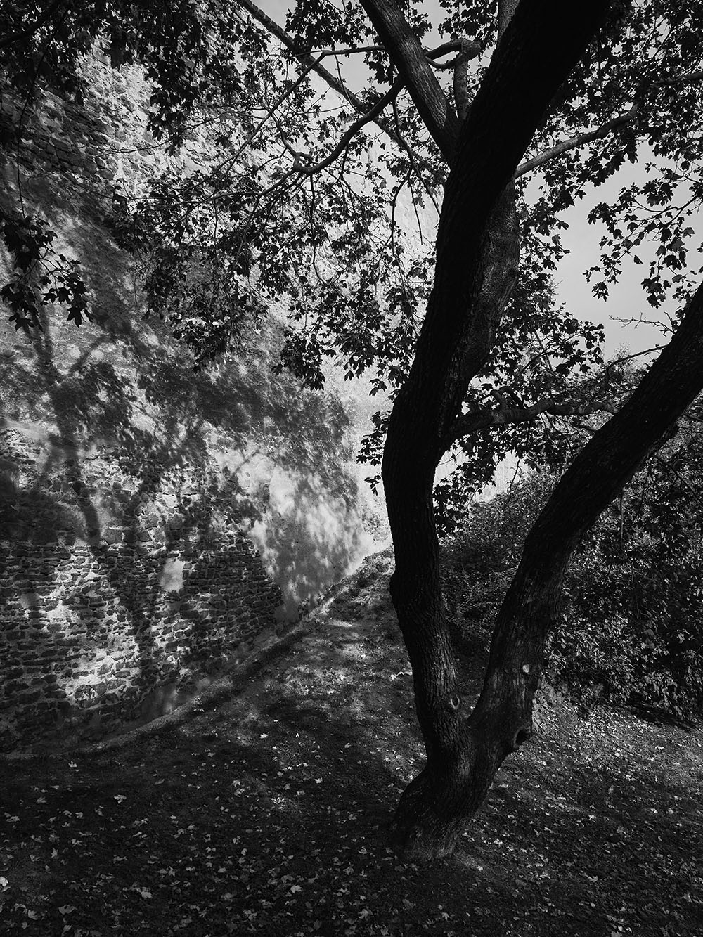 Folimanka-PB018098-bw
