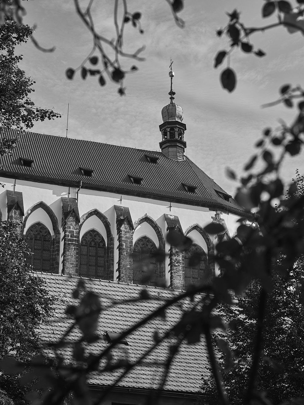 Frantiskanska-P8181942-bw