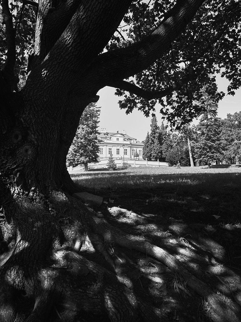 Hanspaulka-P8171802-bw