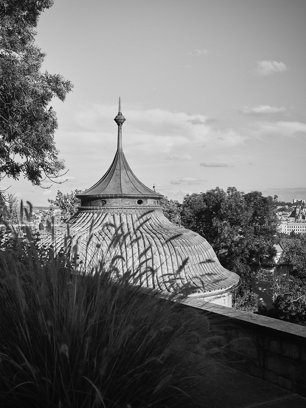 Hartigovska-PA257762-bw