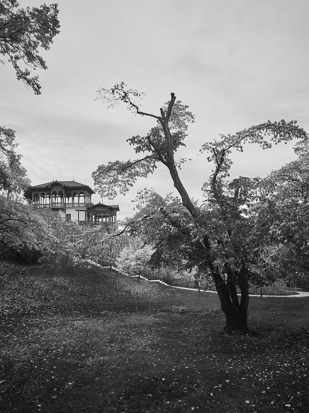 HavlickovySady-PB018027-bw