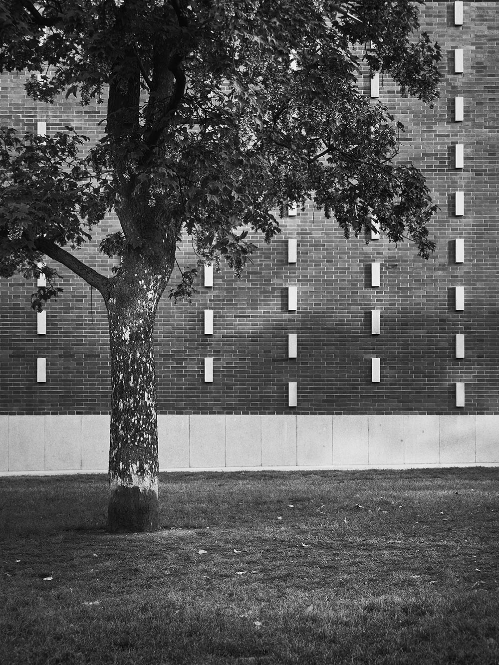 JirihozPodebrad-PA106454-bw