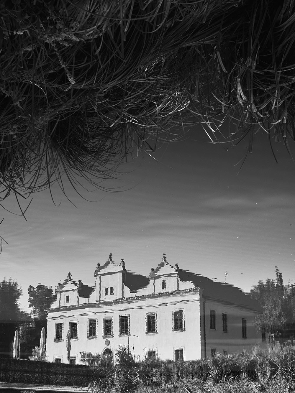 Kajetanka-P8171698-bw