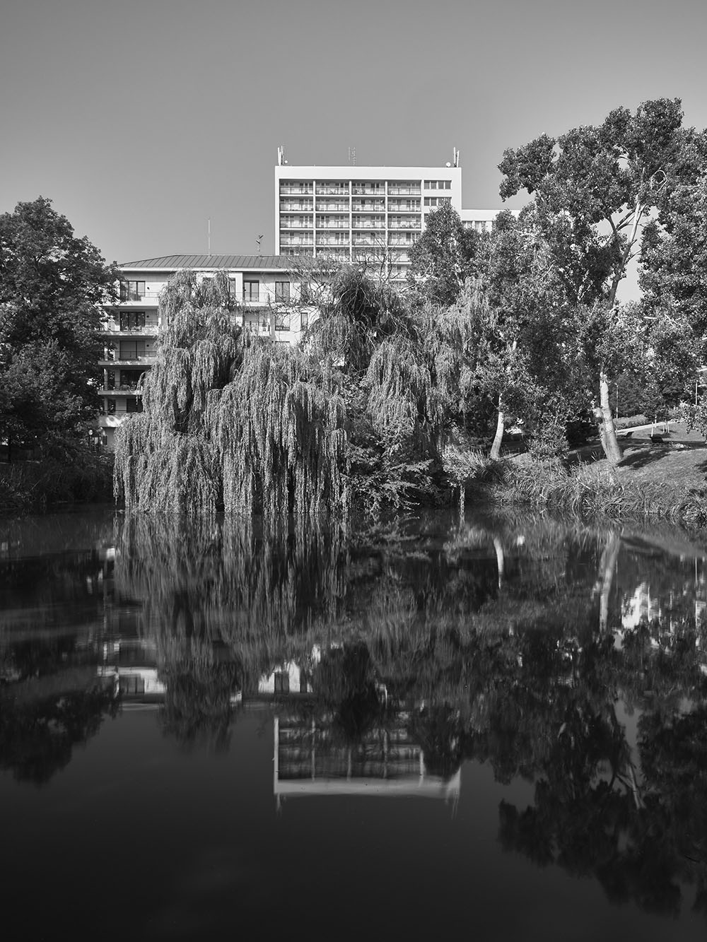 Kajetanka-P8171724-bw