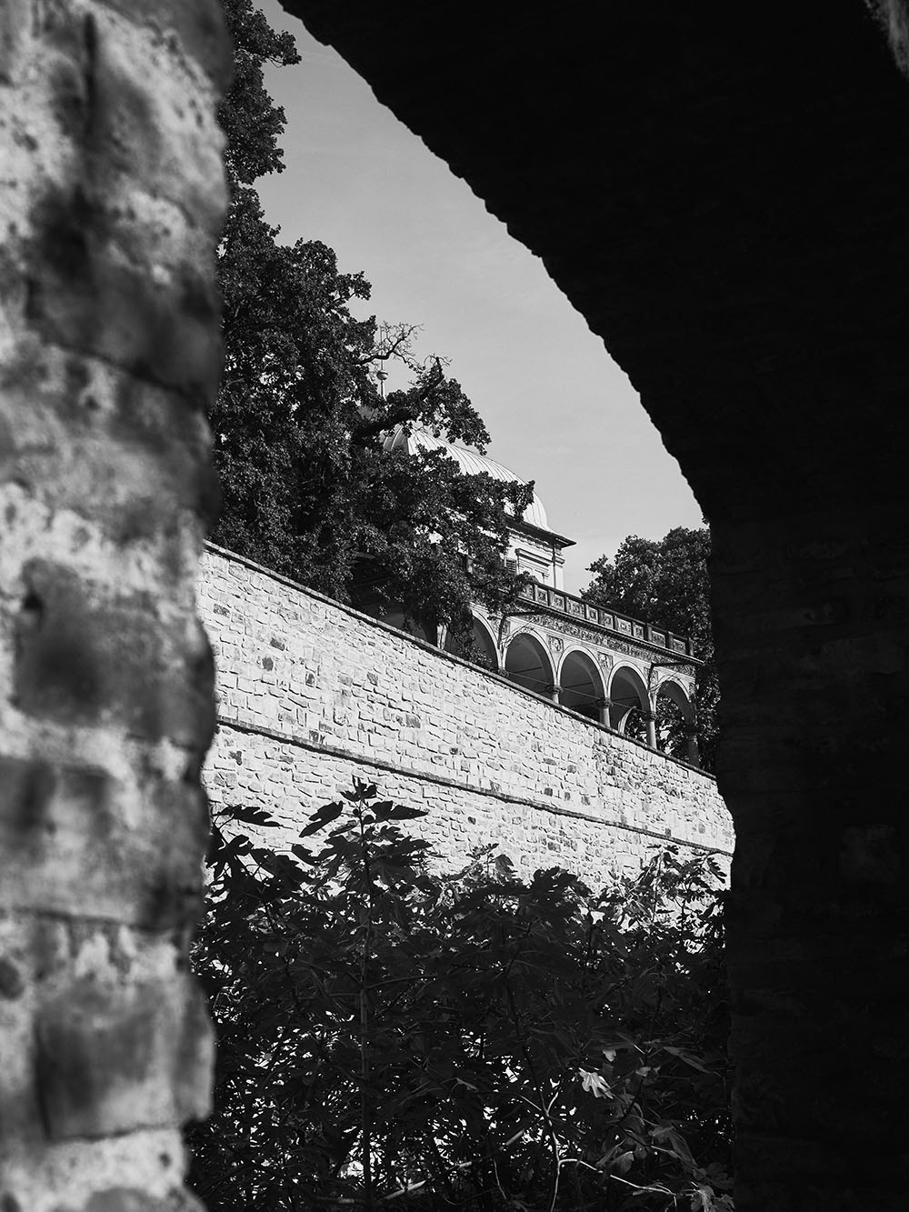 KralovskaZahrada-PA116593-bw
