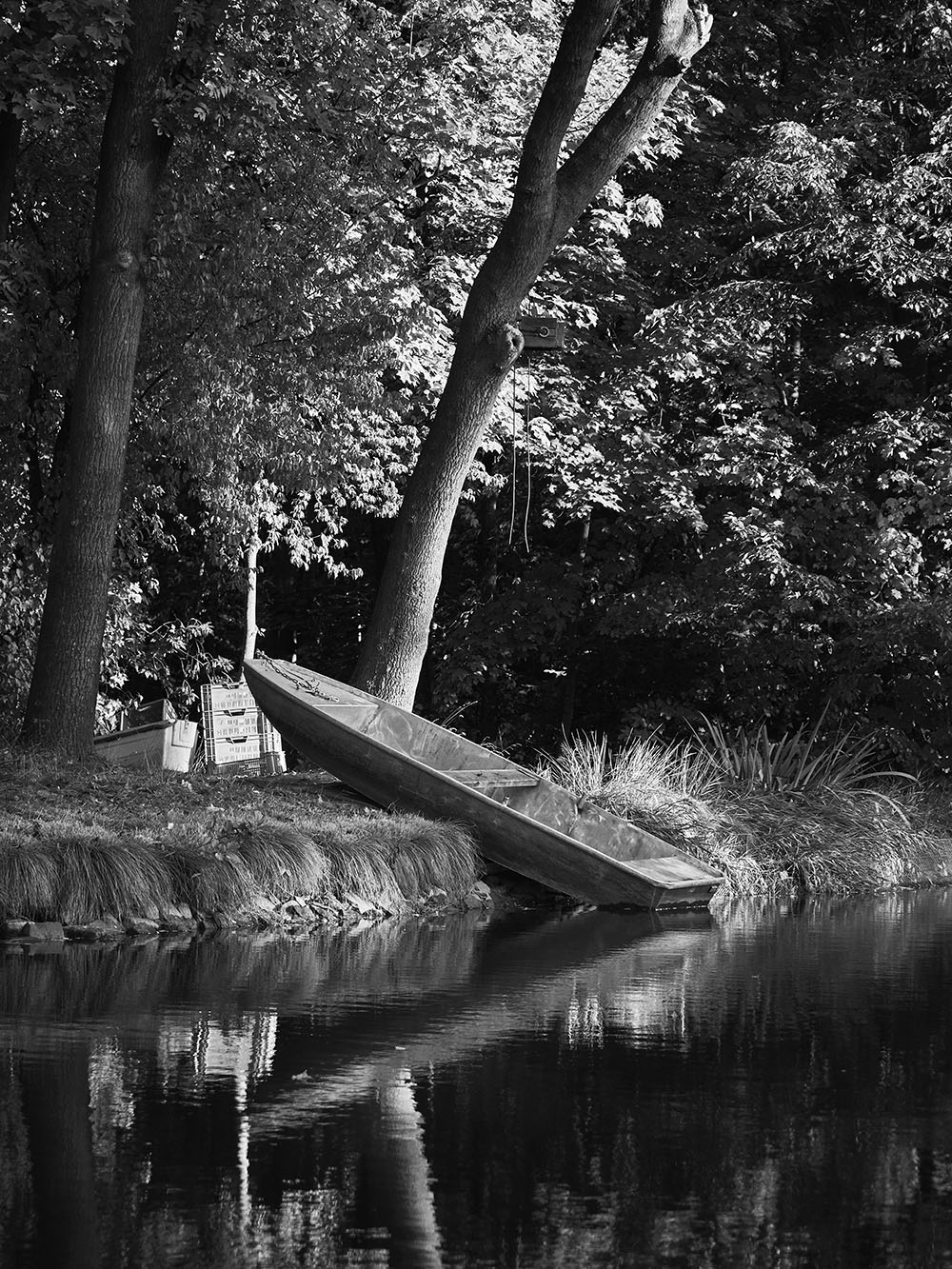 Krc-PA157094-bw