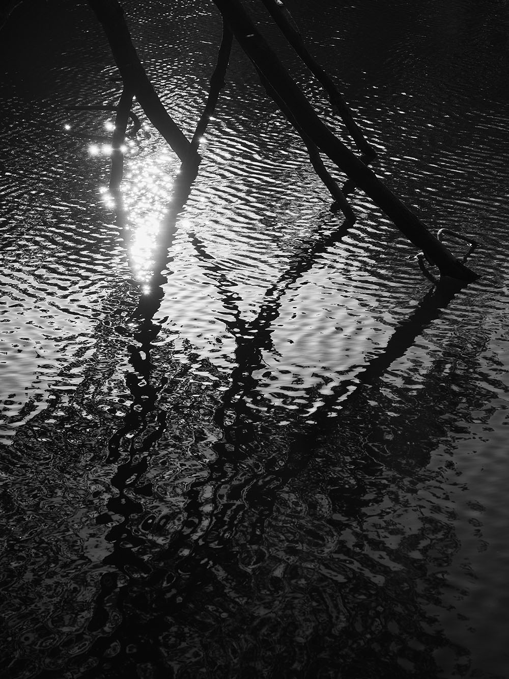 Krc-PA157134-bw