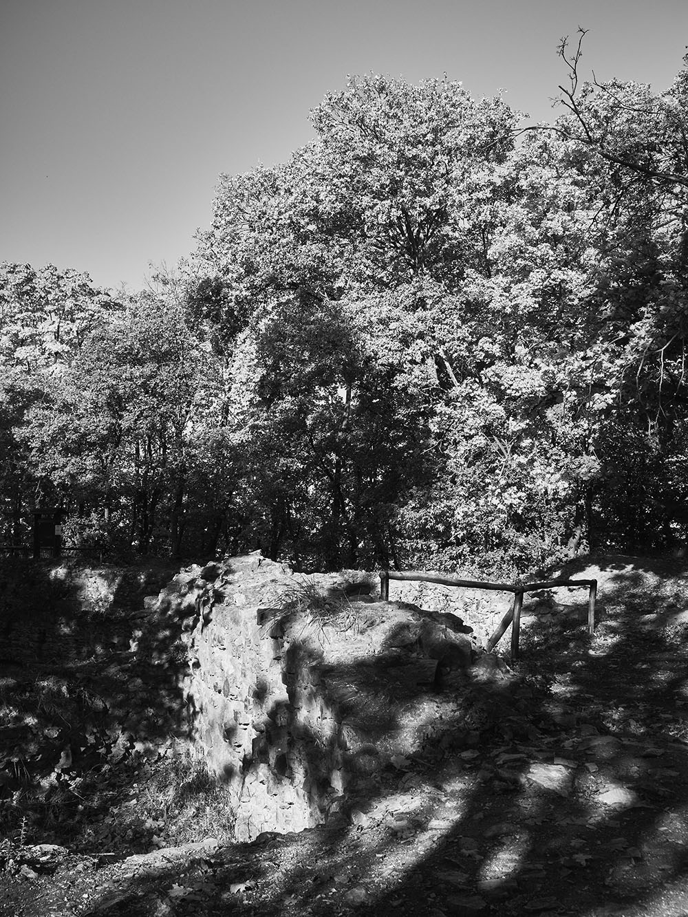 KunratickyLes-PA157156-bw