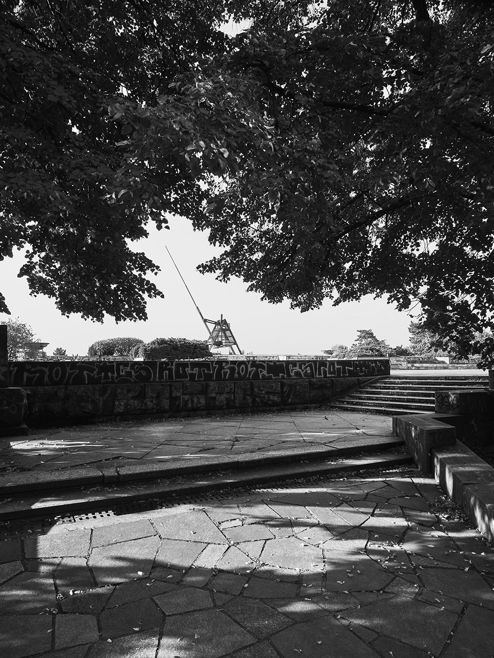 LetenskeSady-P8161459-bw