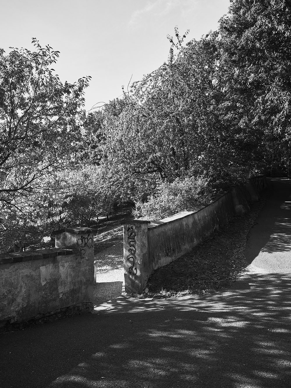 Lobkovicka-PA036006-bw