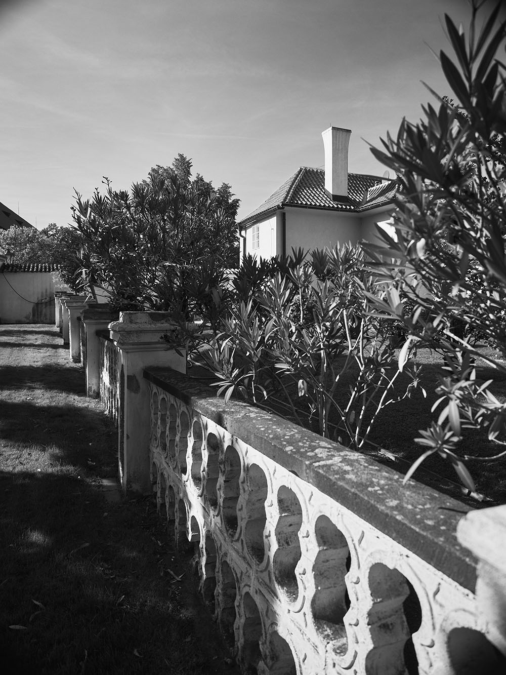 LviDvur-PA116670-bw