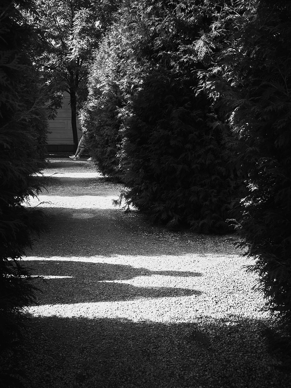 NaBaste-PA116636-bw