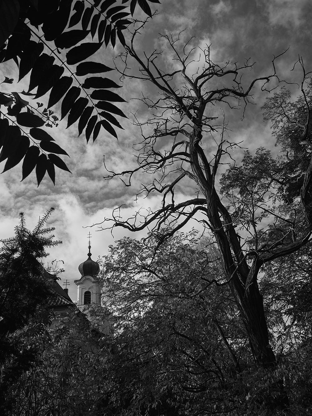 NaSlupi-PB018113-bw