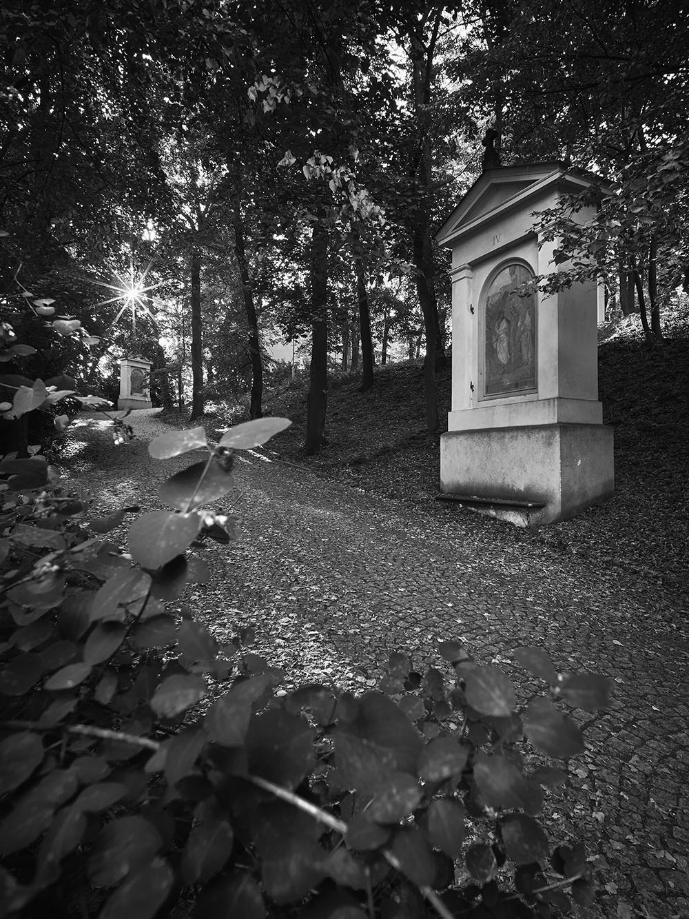 Petrin-PA035914-bw