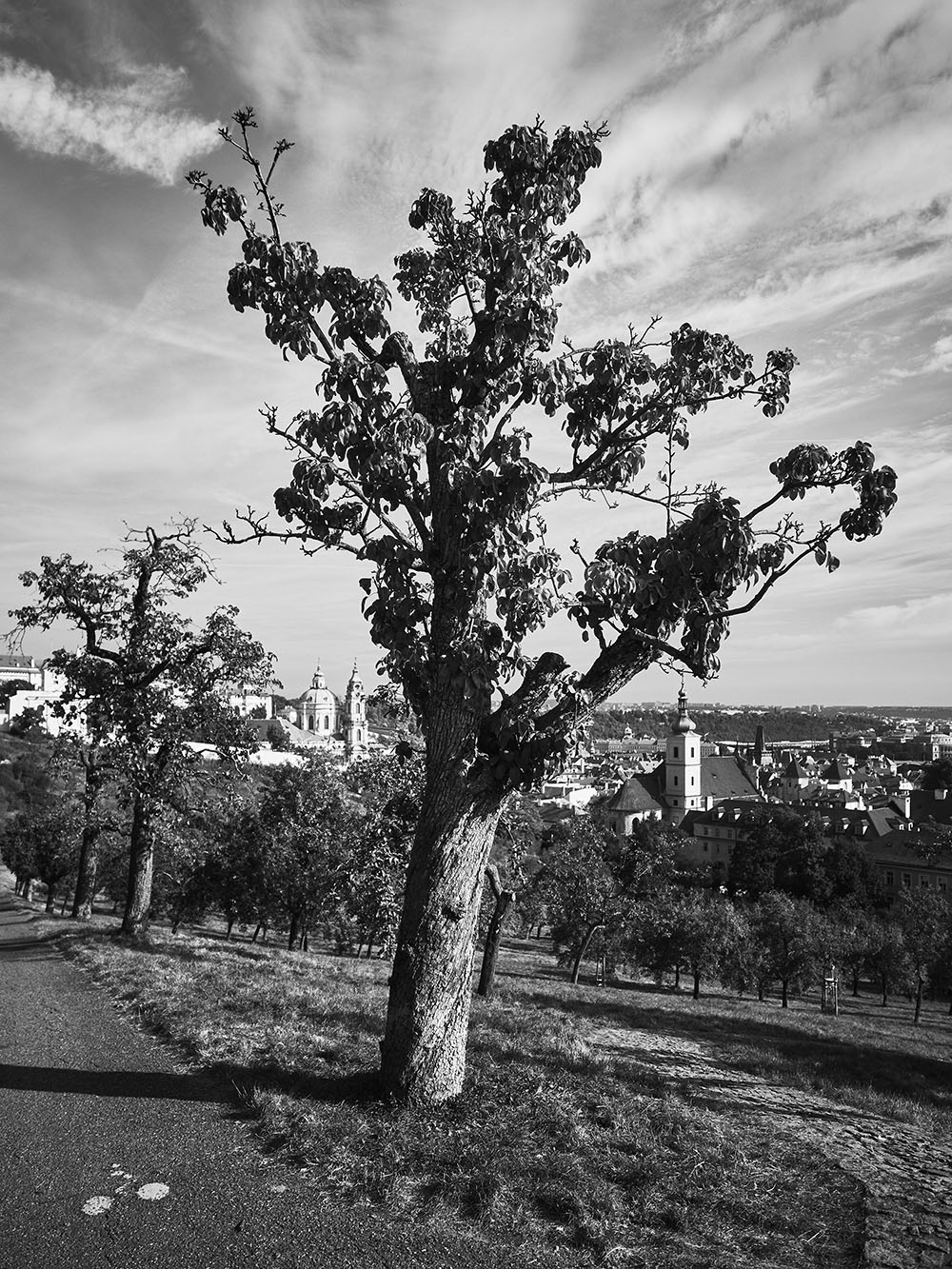 Petrin-PA035978-bw