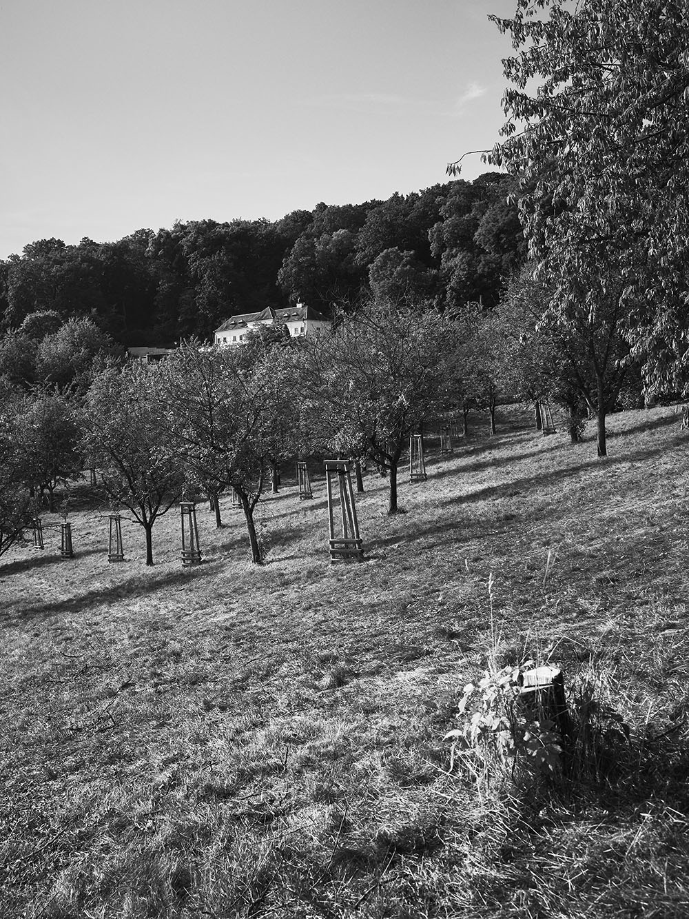 Petrin-PA035981-bw