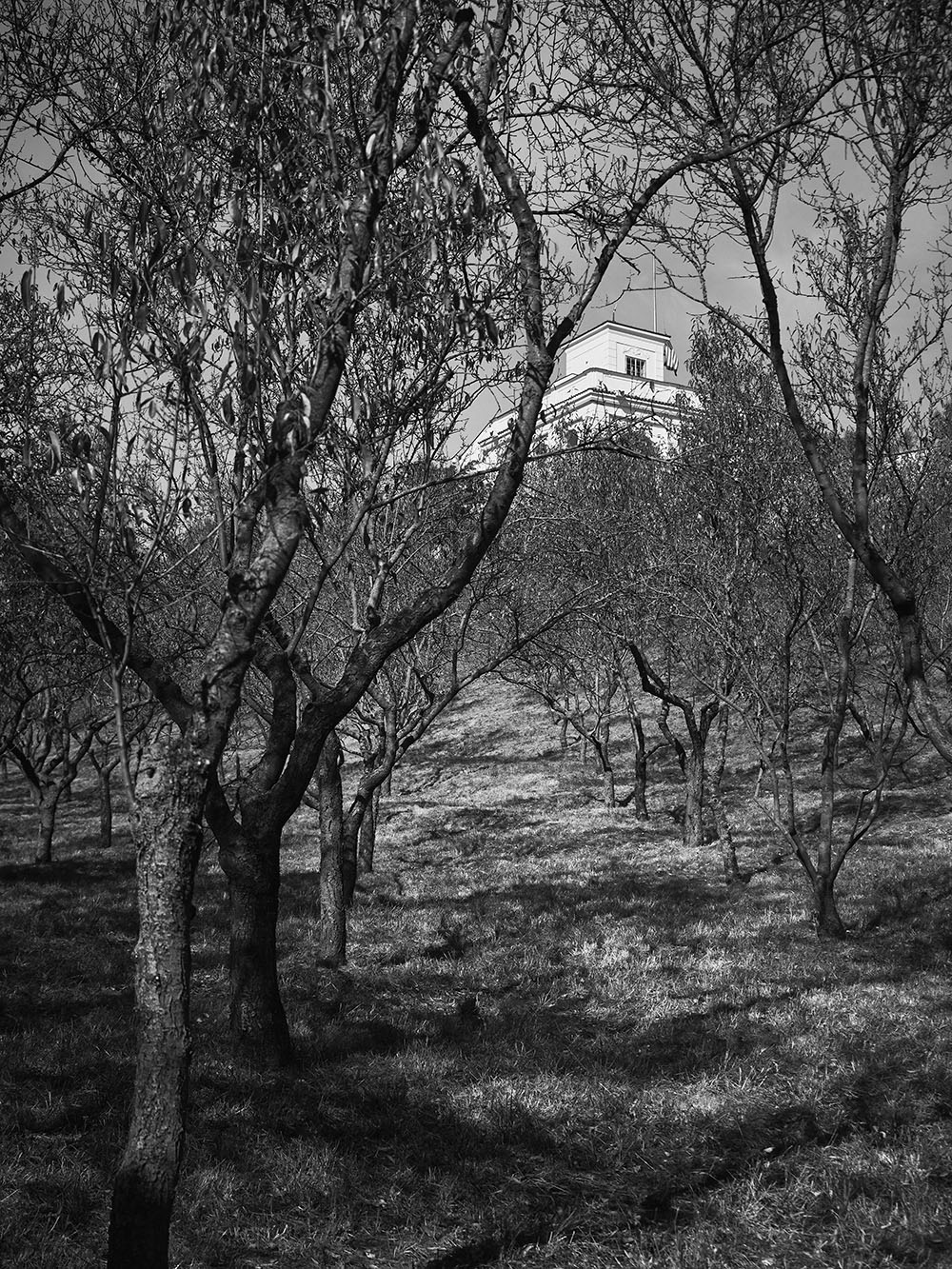 Schonbornska-PA036023-bw