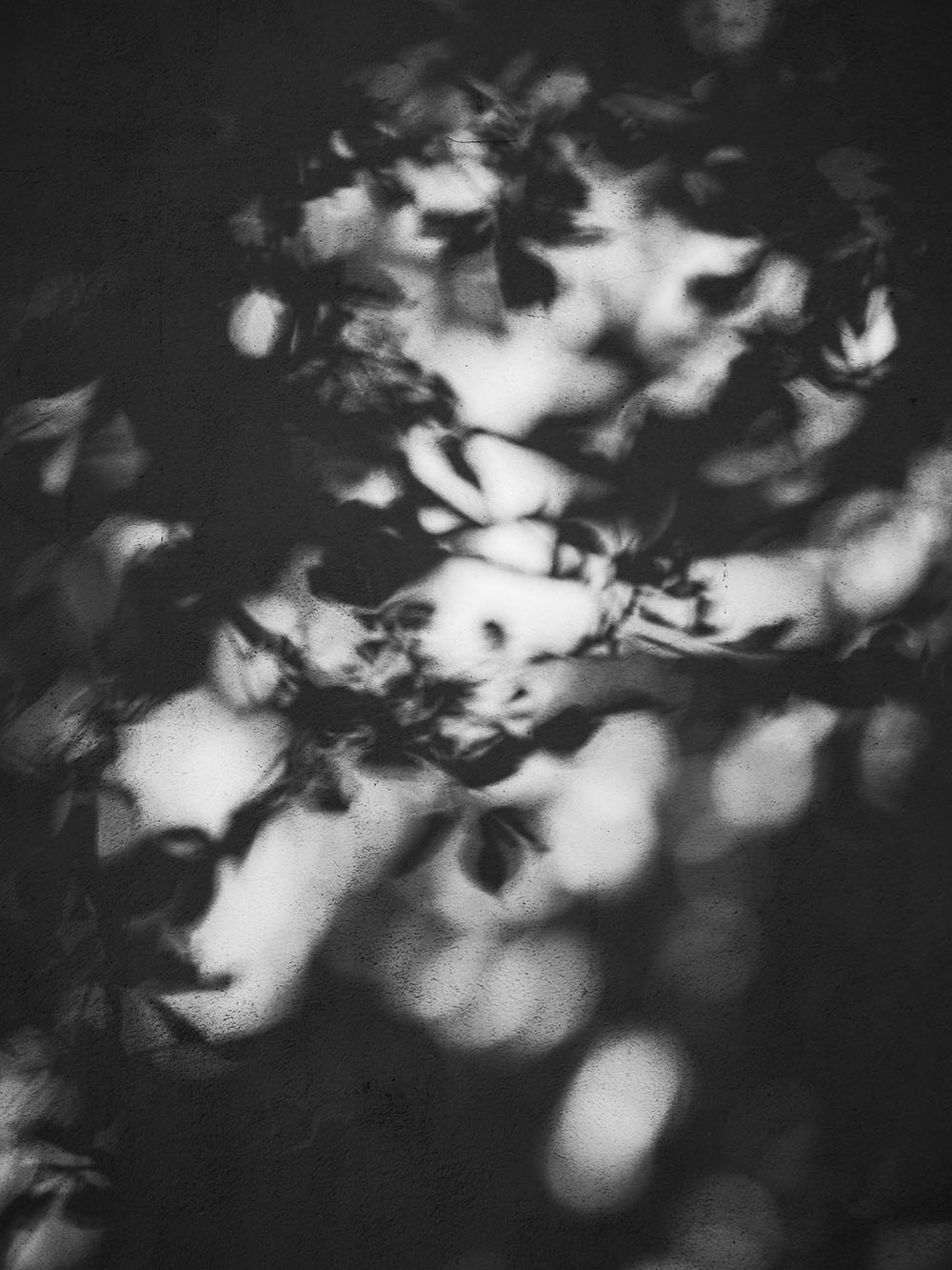 -Stiny-PA025876-bw
