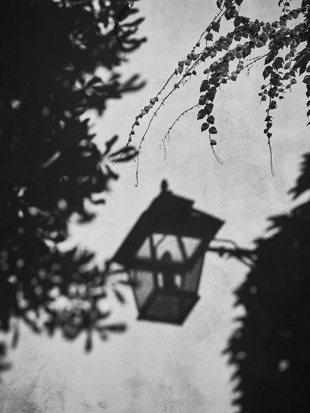 -Stiny2-PA025880-bw