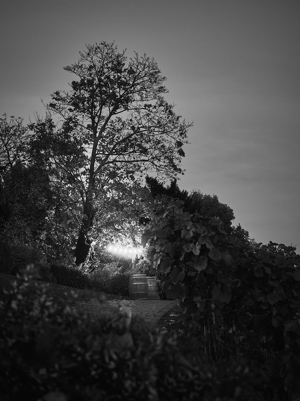 SvatovaclavskaVinice-PB018213-bw