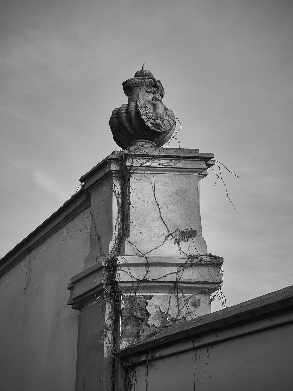 Troja-PB018151-bw