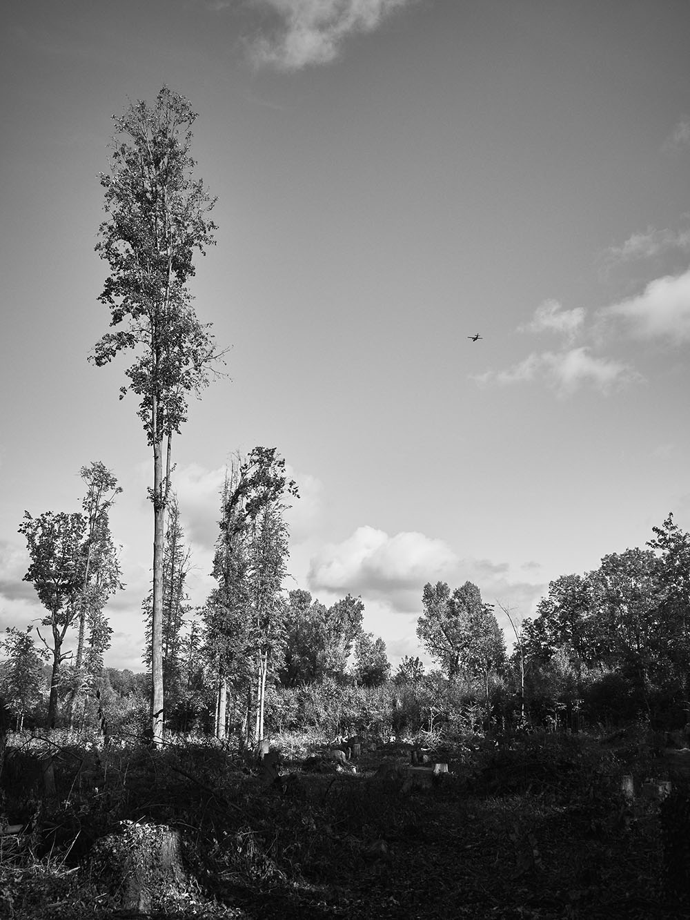 Uhrineves-PA167340-bw