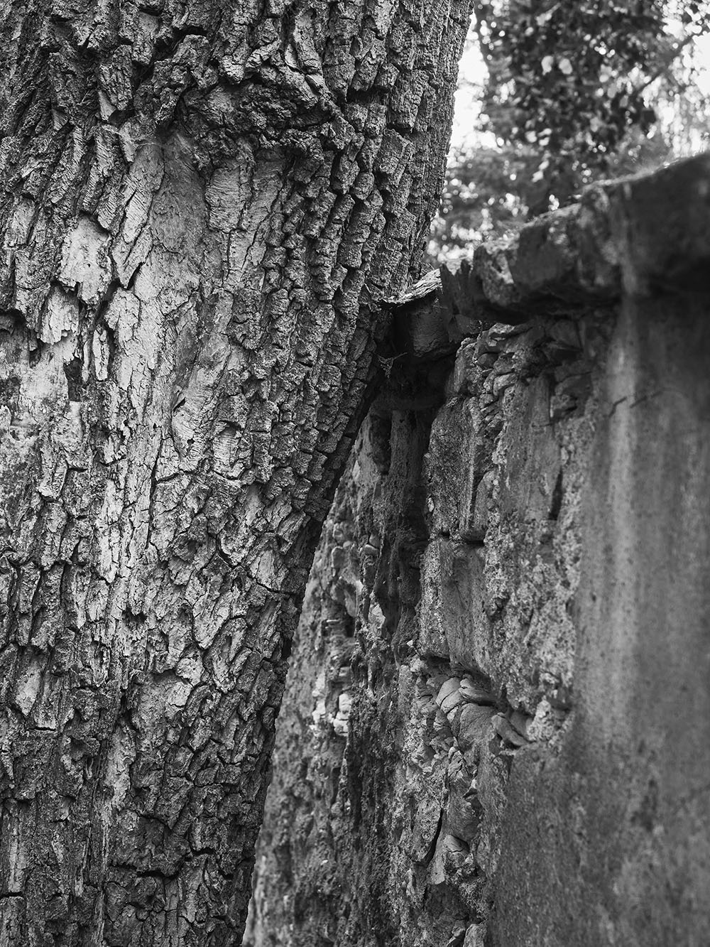 Uvod-PA015566-bw