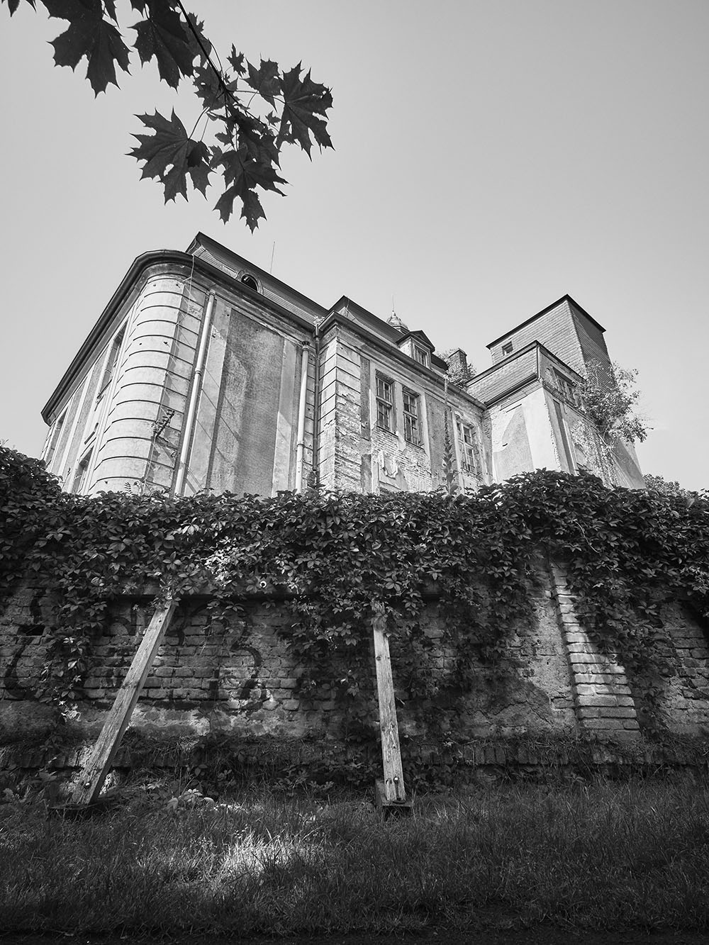 Veleslavin-P8171766-bw