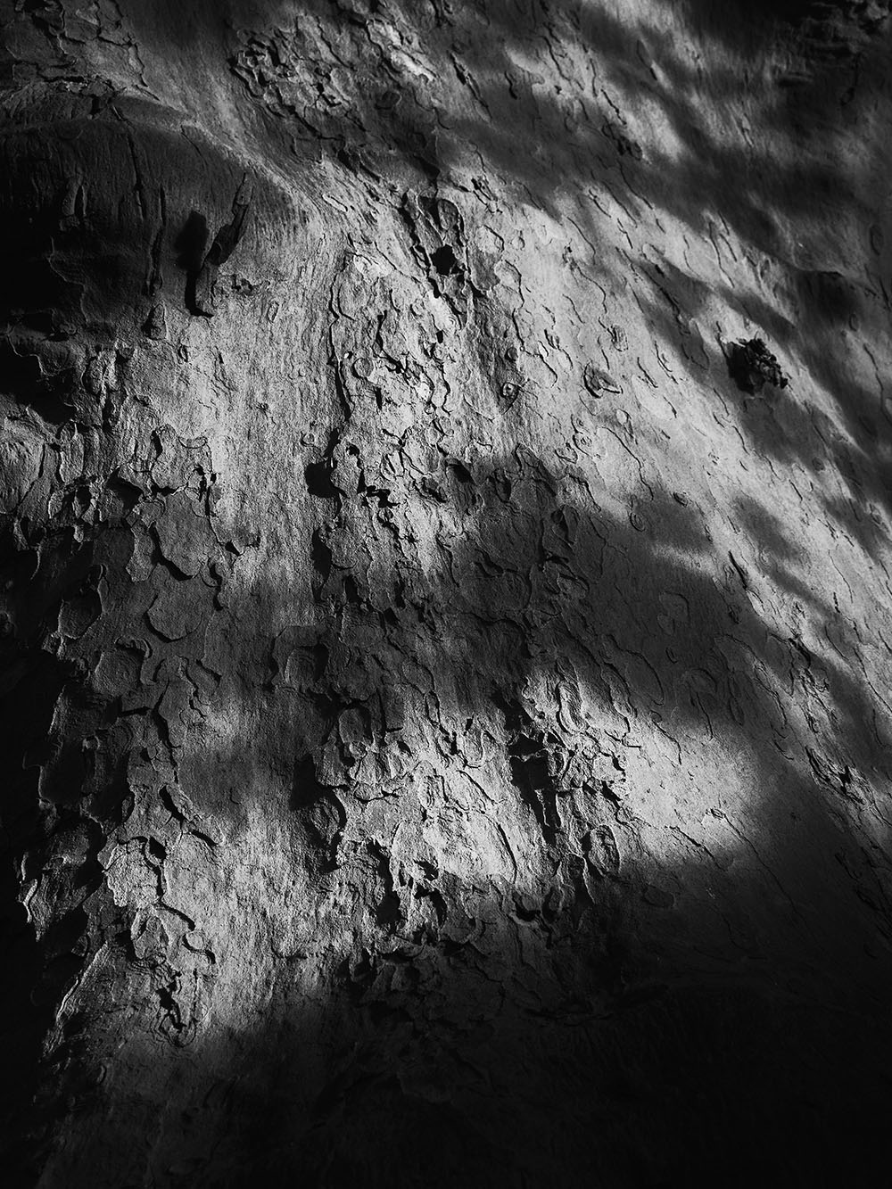 Velkoprevorska-PA307903-bw