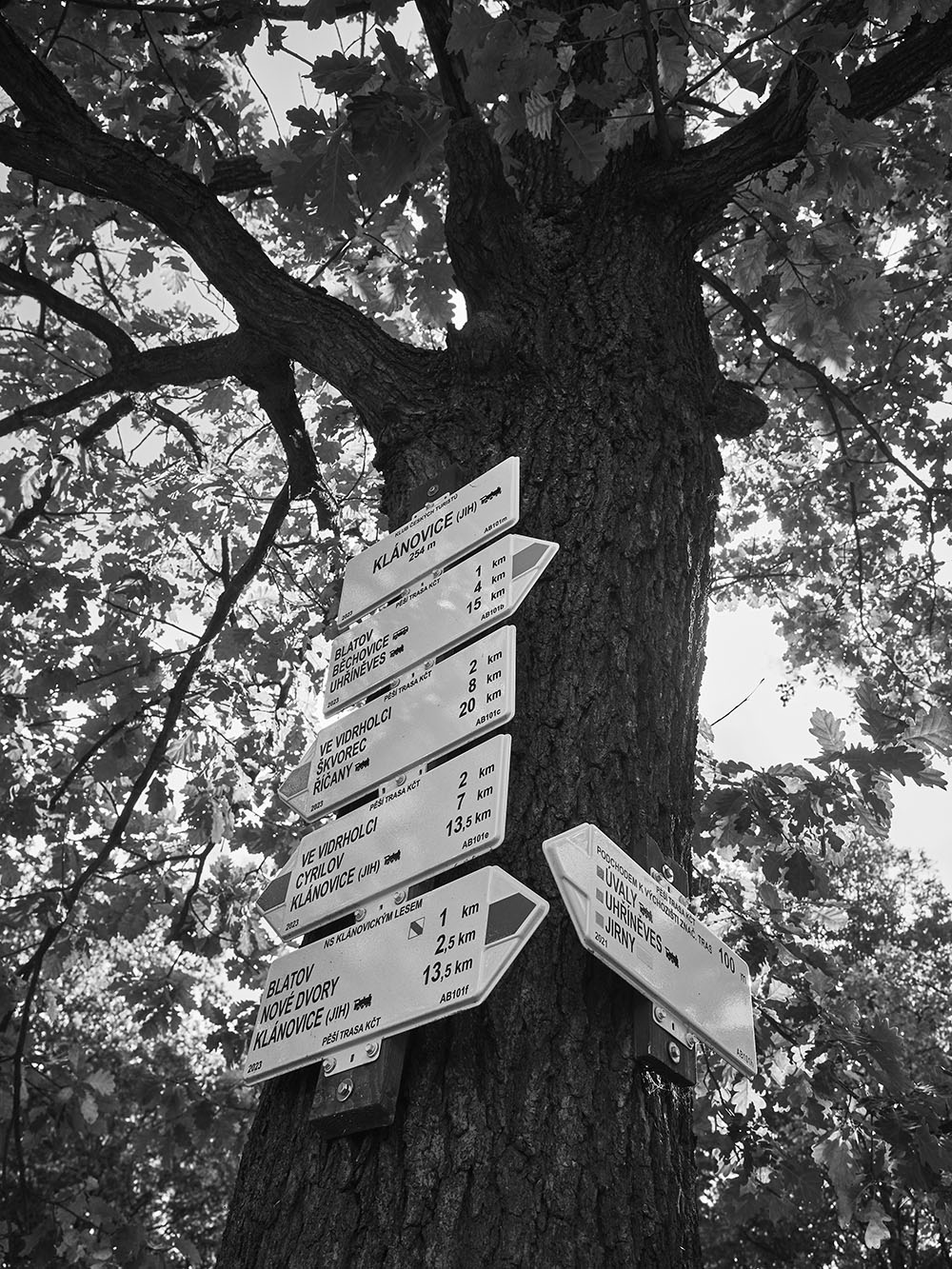Vidrholec-PA167400-bw
