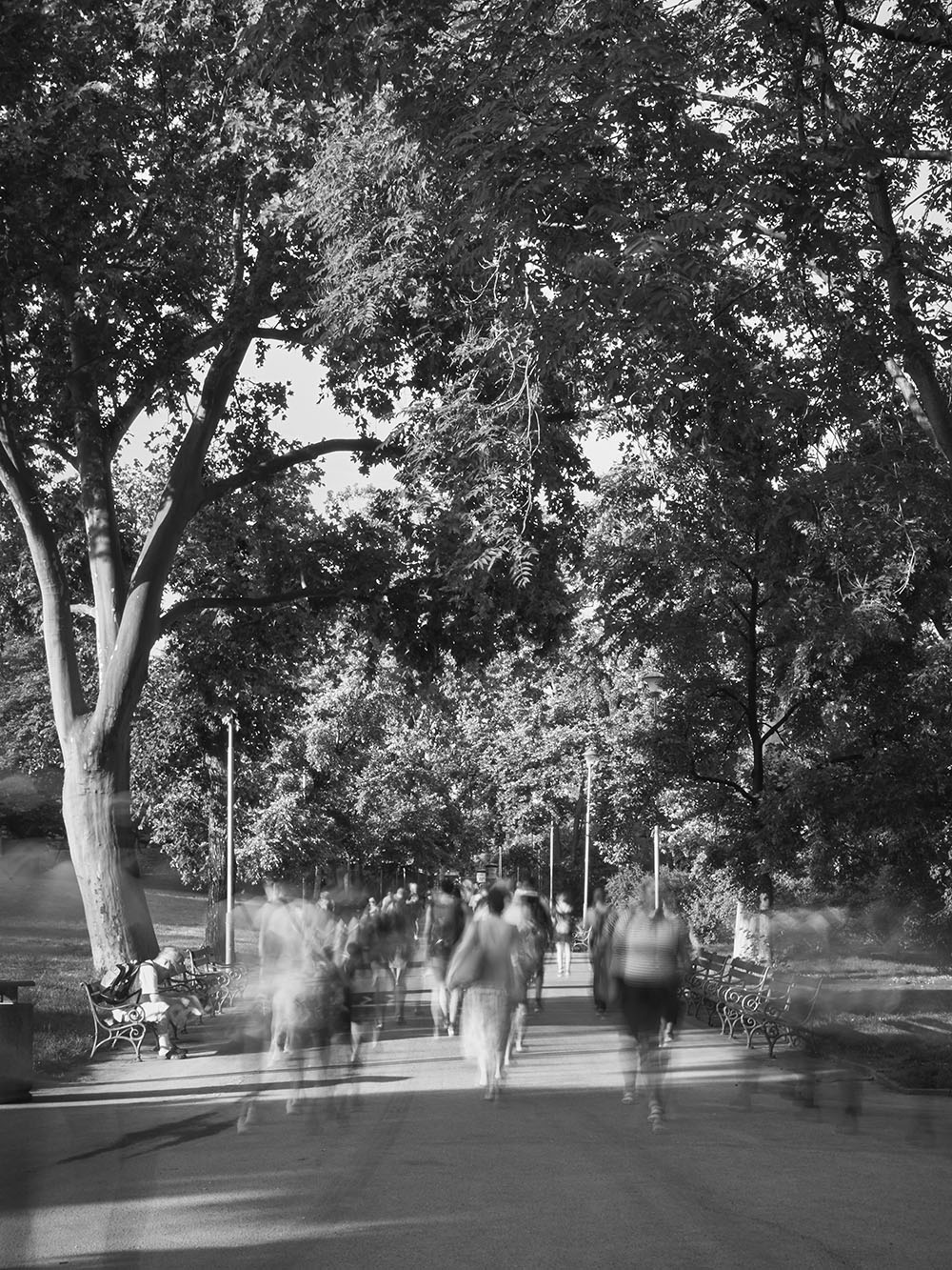 VrchlickehoSady-P8181868-bw