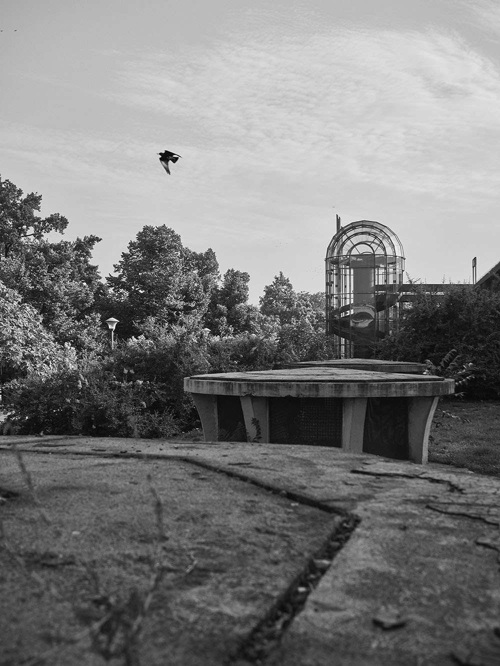 VrchlickehoSady-P8181906-bw