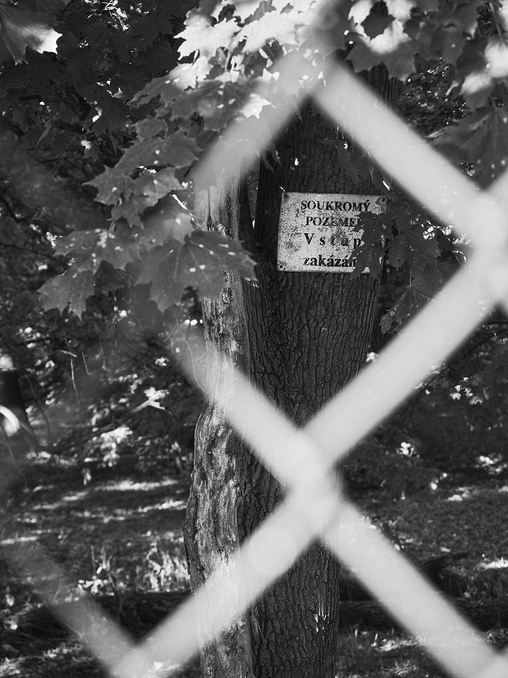 Zabehlice-PA167268-bw
